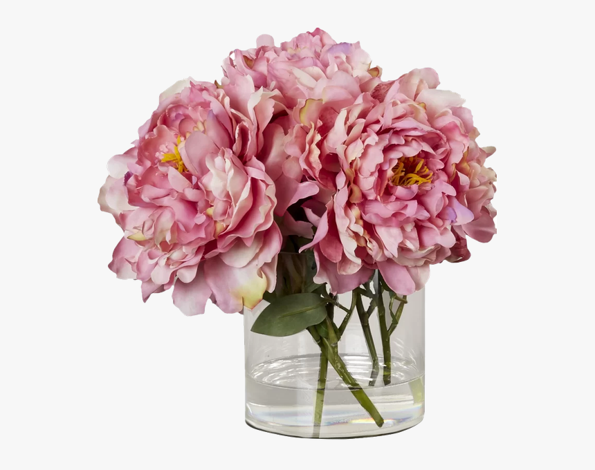 Common Peony, HD Png Download, Free Download