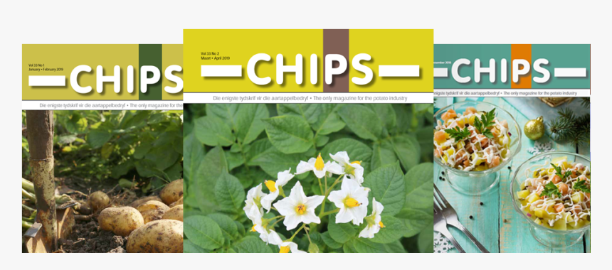 Solanum, HD Png Download, Free Download