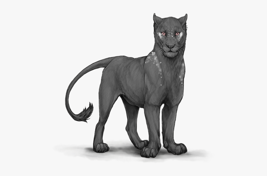 Jaguar, HD Png Download, Free Download