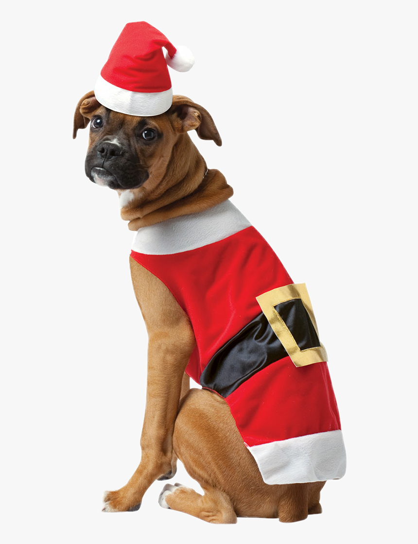 #scsantaoutfit #santaoutfit #santa Outfit #santa Claus - Christmas Outfits For Dog, HD Png Download, Free Download