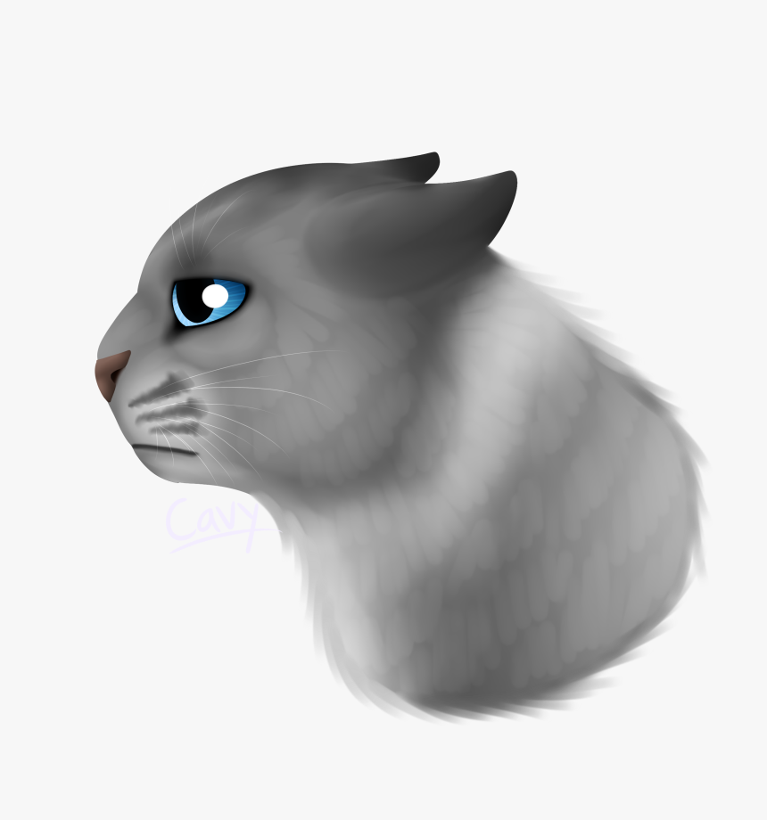 Sad Cat Png, Transparent Png, Free Download