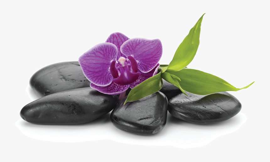 Hd Format - Day Spa, HD Png Download, Free Download