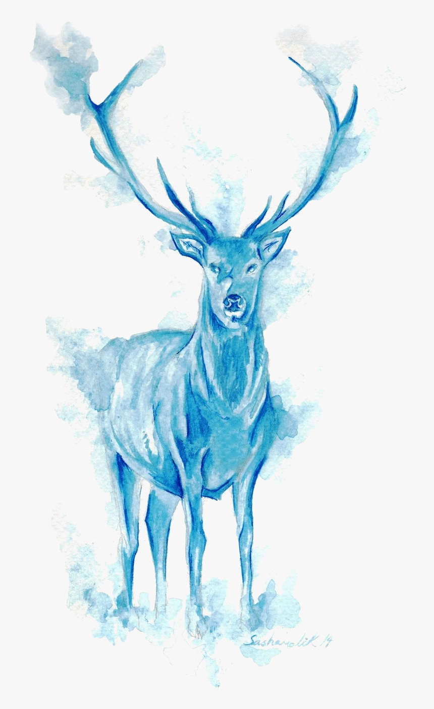 Harry Potter Patronus Png, Transparent Png, Free Download