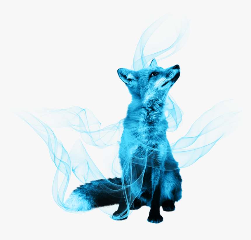 Illustration,graphic Design,drawing - Fox Transparent Background, HD Png Download, Free Download