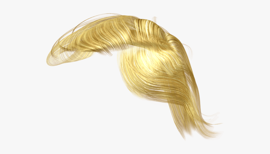 Donald Trump Hair Png, Transparent Png - kindpng