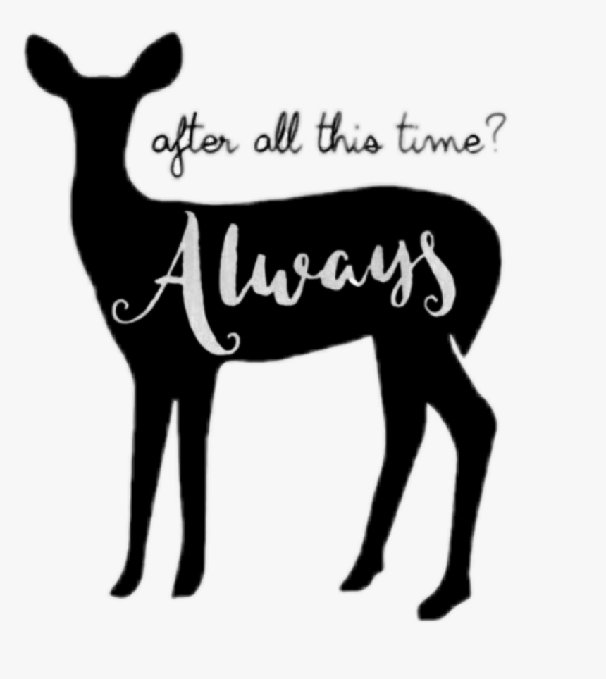 #patronus #always #harrypotter #hp @roxxoblog - Quotes Harry Potter, HD Png Download, Free Download