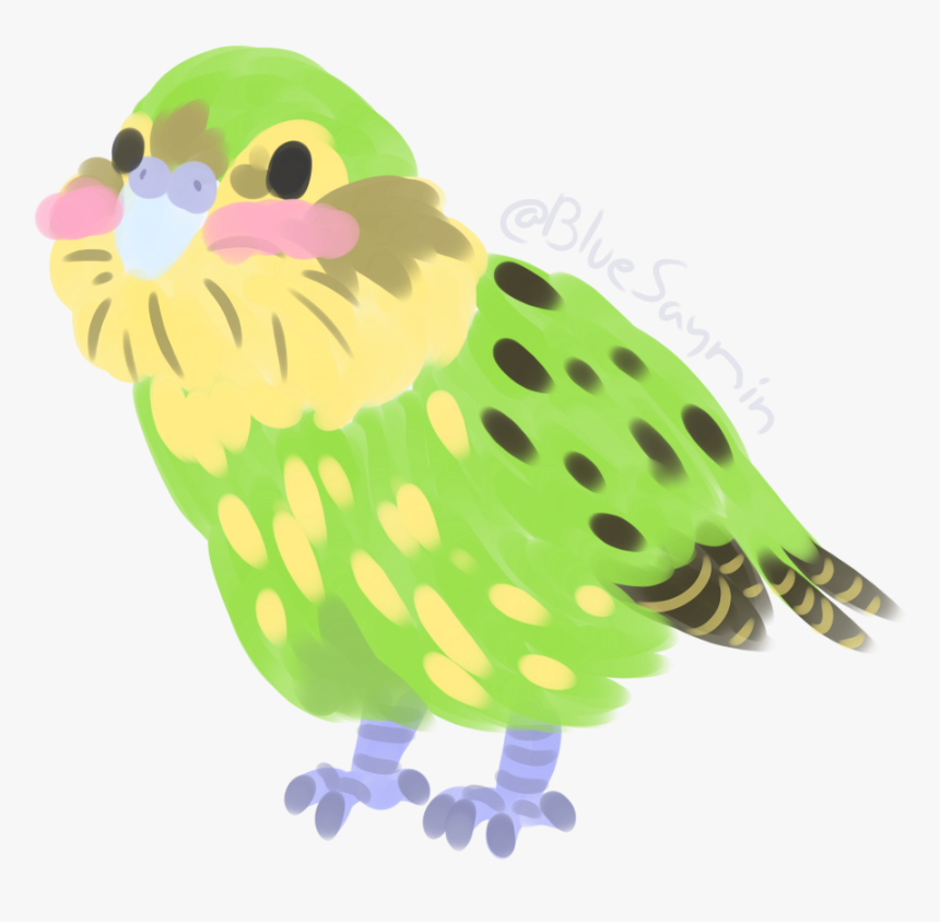 My Real Patronus Is - Kakapo Clipart, HD Png Download, Free Download