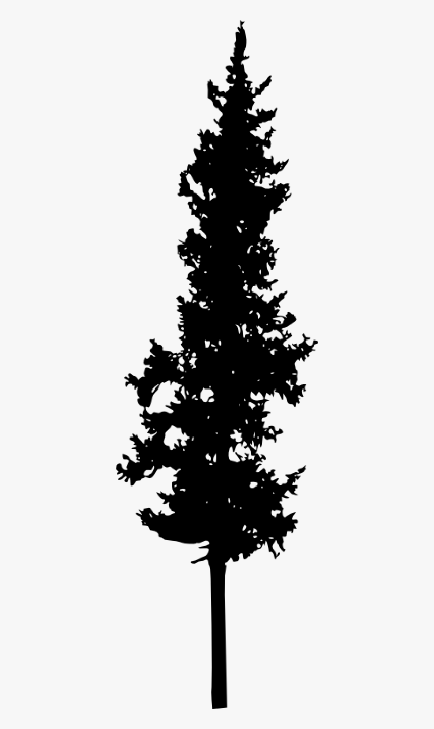 30 Pine Tree Silhouette Vol - Transparent 2 Silhouette Pine Trees, HD Png Download, Free Download