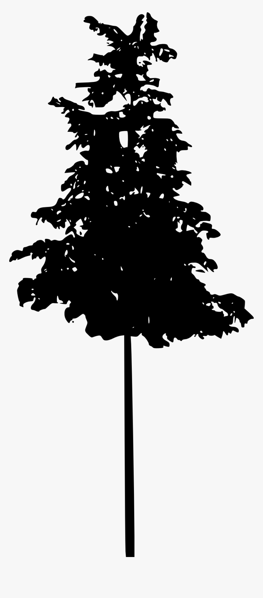 Tree Silhouette 2 - Dark Pine Tree Png, Transparent Png, Free Download