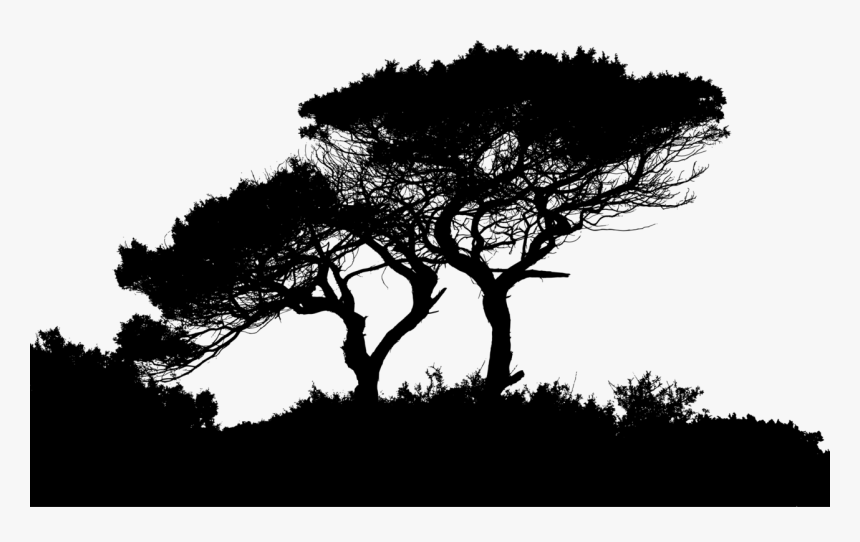 Landscape Silhouette Photography - Silhouette Of A Landscape, HD Png Download, Free Download