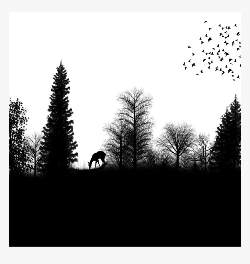 Silhouette Drawing Forest - Forest Silhouette Png, Transparent Png, Free Download