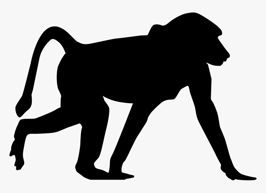 Monkey Silhouette 13, Buy Clip Art - Babouin Silhouette, HD Png Download, Free Download