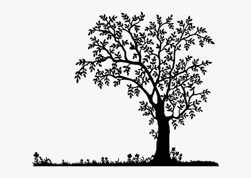 Flowers, Landscape, Nature, Plant, Silhouette, Tree - Transparent Black And White Tree Clipart, HD Png Download, Free Download