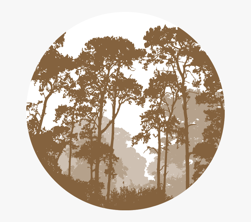 Vector Graphics Illustration Forest Landscape Silhouette - Forest Landscape Vector, HD Png Download, Free Download