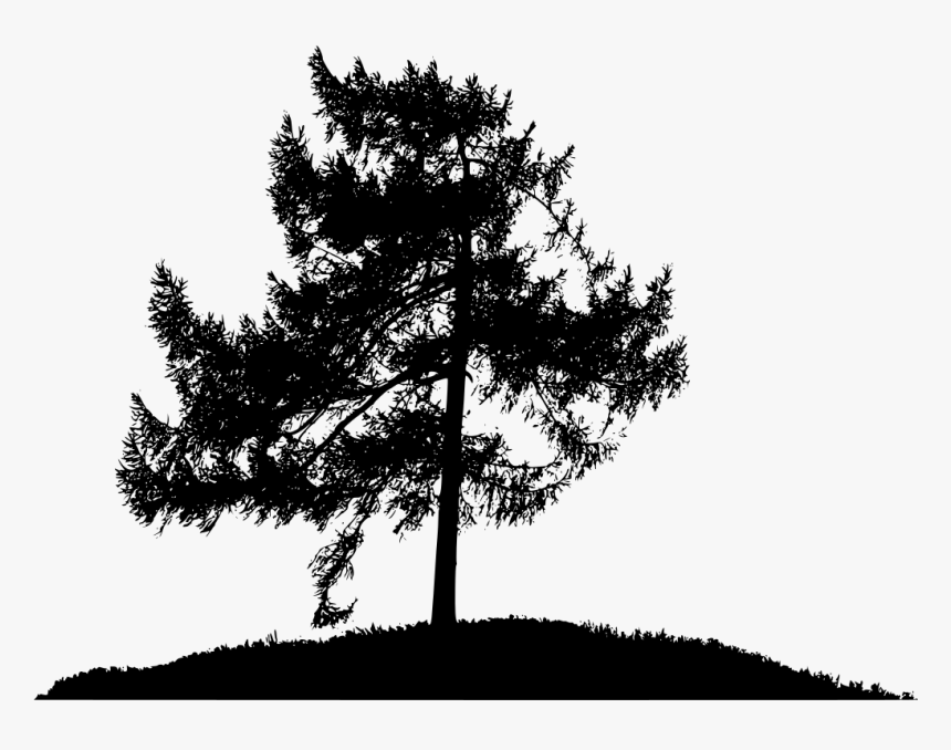 Png Pine Trees Silhouettes, Transparent Png, Free Download