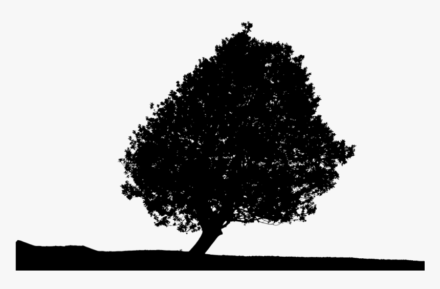 Lonely Tree Silhouette - Portable Network Graphics, HD Png Download, Free Download