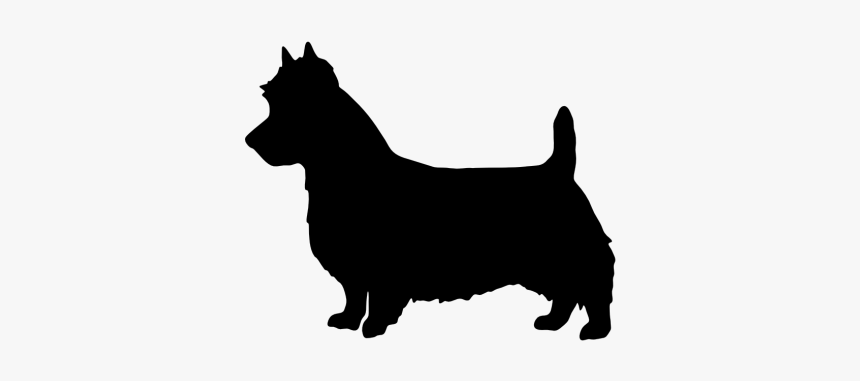 Pembroke Welsh Corgi Australian Terrier Bull Terrier - Dog Silhouette Cut Out, HD Png Download, Free Download