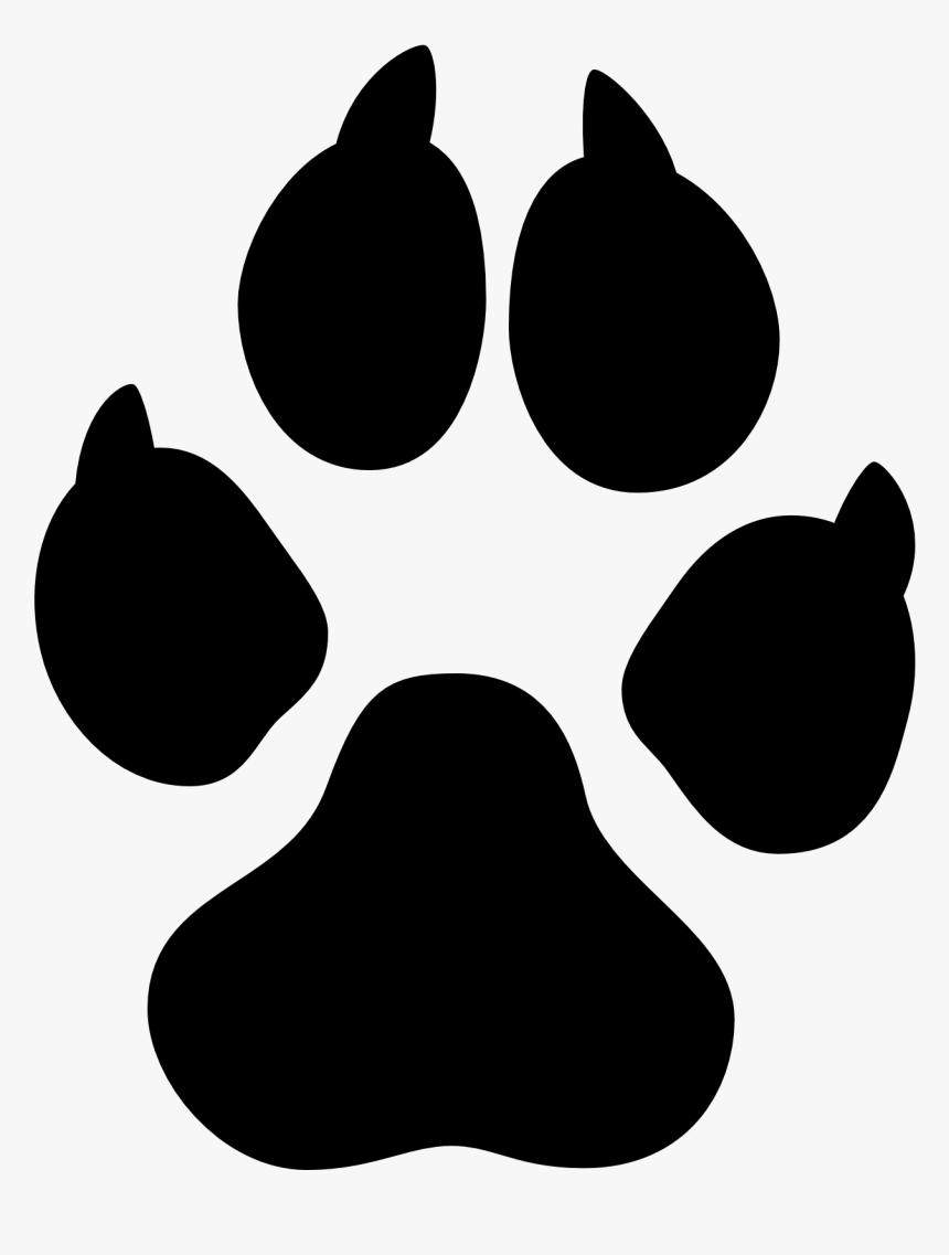 Cairn Terrier Yorkshire Terrier Red Fox Pembroke Welsh - Dog, HD Png Download, Free Download