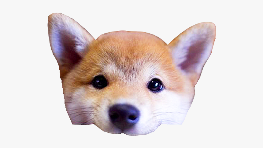 Clip Art Dog S Head By - Cute Dog Head Png, Transparent Png, Free Download