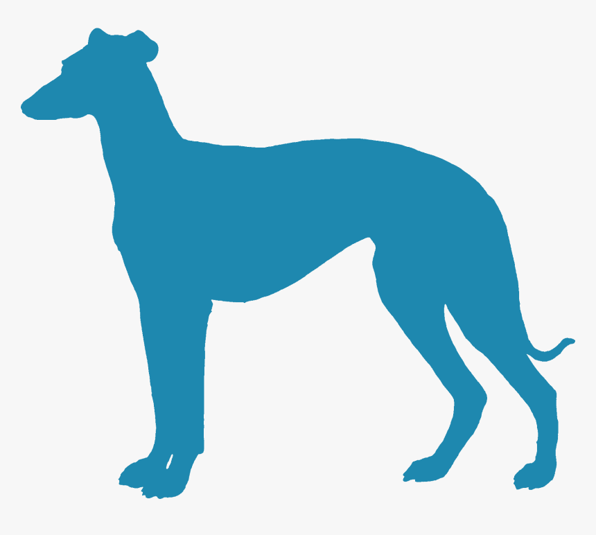 Sighthound - Greyhound Silhouette Clip Art, HD Png Download, Free Download
