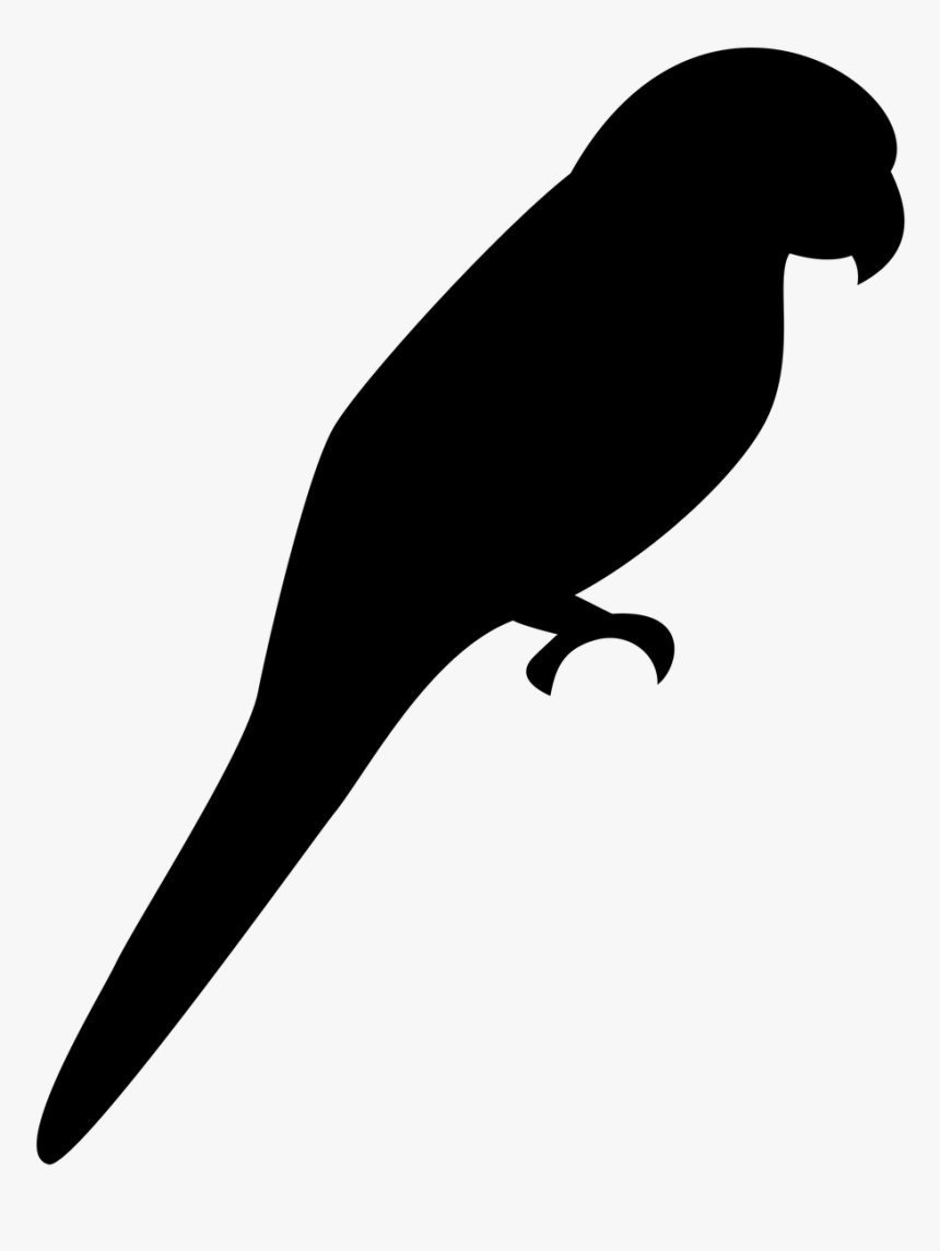 Silhouette, Bird, Parrot, Canary Islands, Canary, Chirp - Parrot Shadow, HD Png Download, Free Download