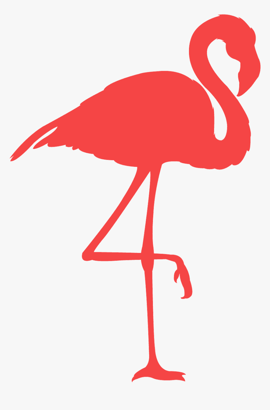Transparent Background Flamingo Clipart, HD Png Download, Free Download