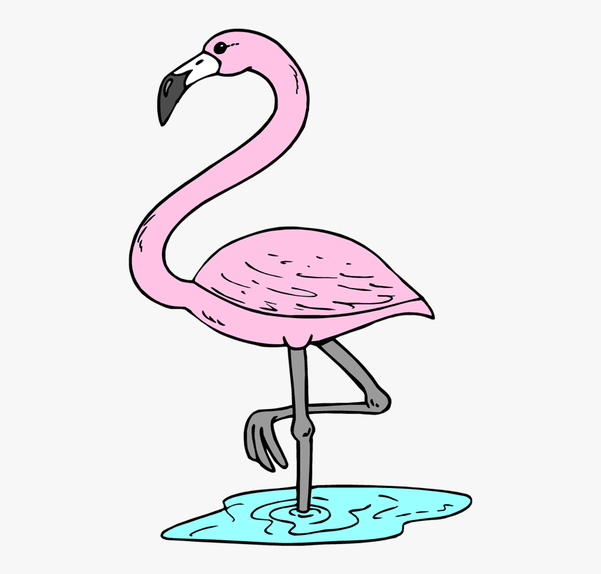 Clipart Flamingo Many Interesting Cliparts - Tropical Flamingo Flamingo Clipart, HD Png Download, Free Download