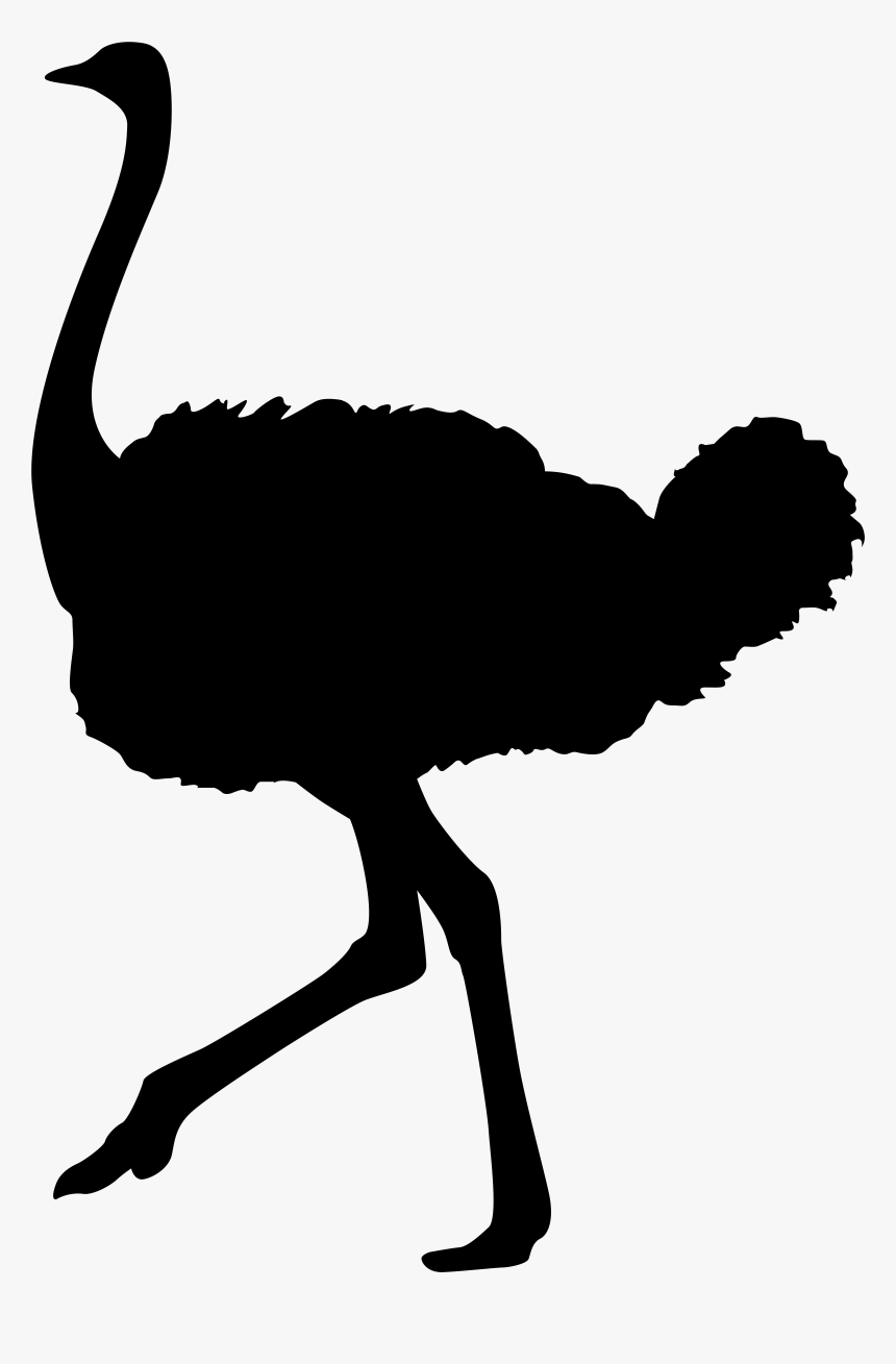 Flamingo Clipart Silhouette - Black Ostrich Clipart, HD Png Download, Free Download