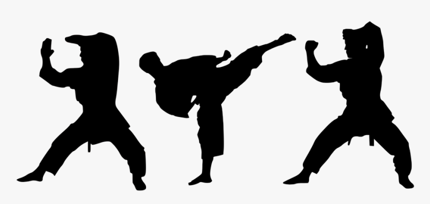 Transparent Martial Arts Png - Transparent Karate Silhouette Png, Png Download, Free Download