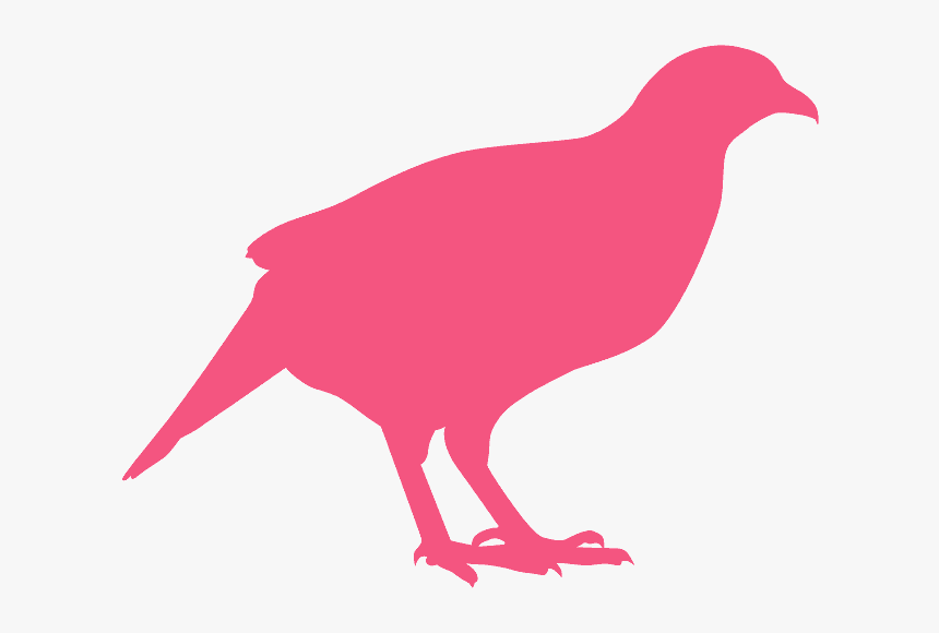 Pink Partridge, HD Png Download, Free Download