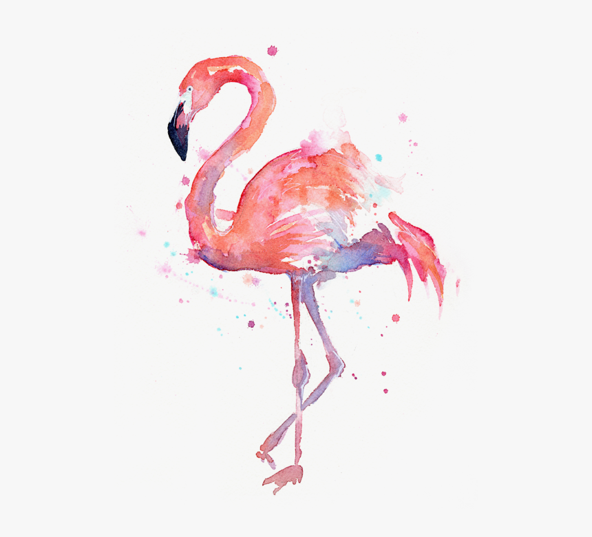 Pink Flamingo, HD Png Download, Free Download