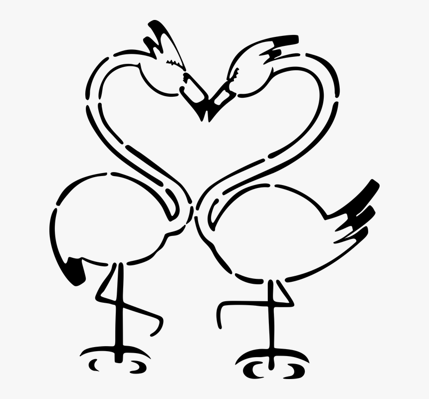 Birds Creature Feathers Flamingos Love Passion - Flamingo Love Icon Png, Transparent Png, Free Download