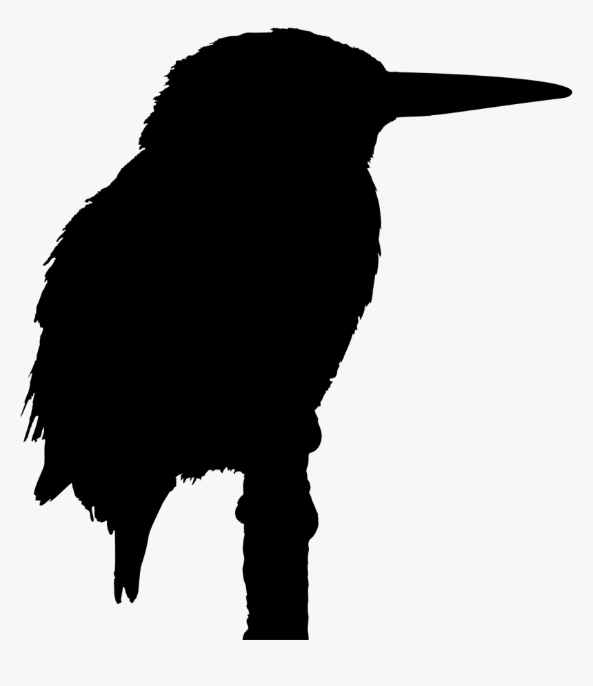 Silhouette Of A Kingfisher, HD Png Download, Free Download