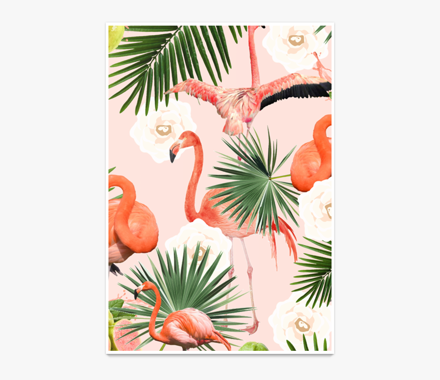 Clip Art Flamingo Posters - Poster Flamingos, HD Png Download, Free Download