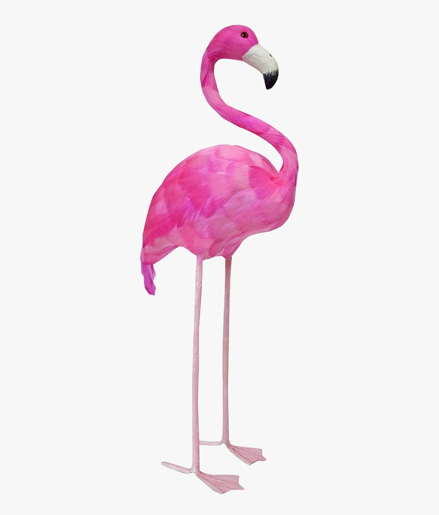 Flamingo Png Image - Flamingo Props, Transparent Png, Free Download