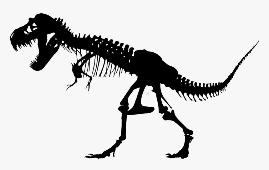 T Rex Skeleton Silhouette, HD Png Download, Free Download