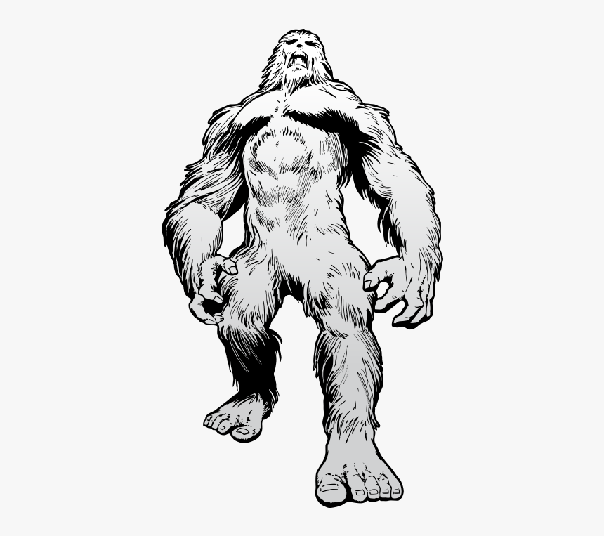 Bigfoot Drawing Transparent For Free Download - Bigfoot Clipart Black And White, HD Png Download, Free Download