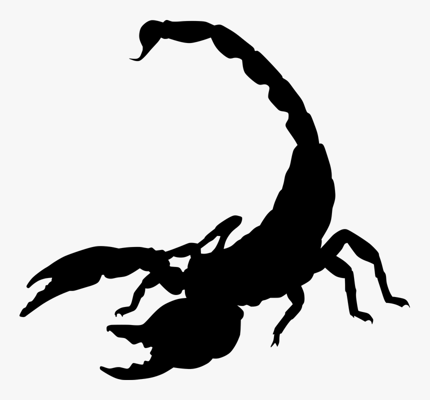 Scorpion, Silhouette, Bug, Claws, Creature, Creepy - Scorpion Silhouette, HD Png Download, Free Download