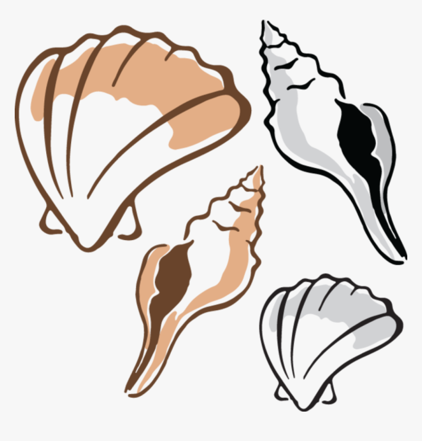 Clam Clipart - Clam Cliparts, HD Png Download, Free Download