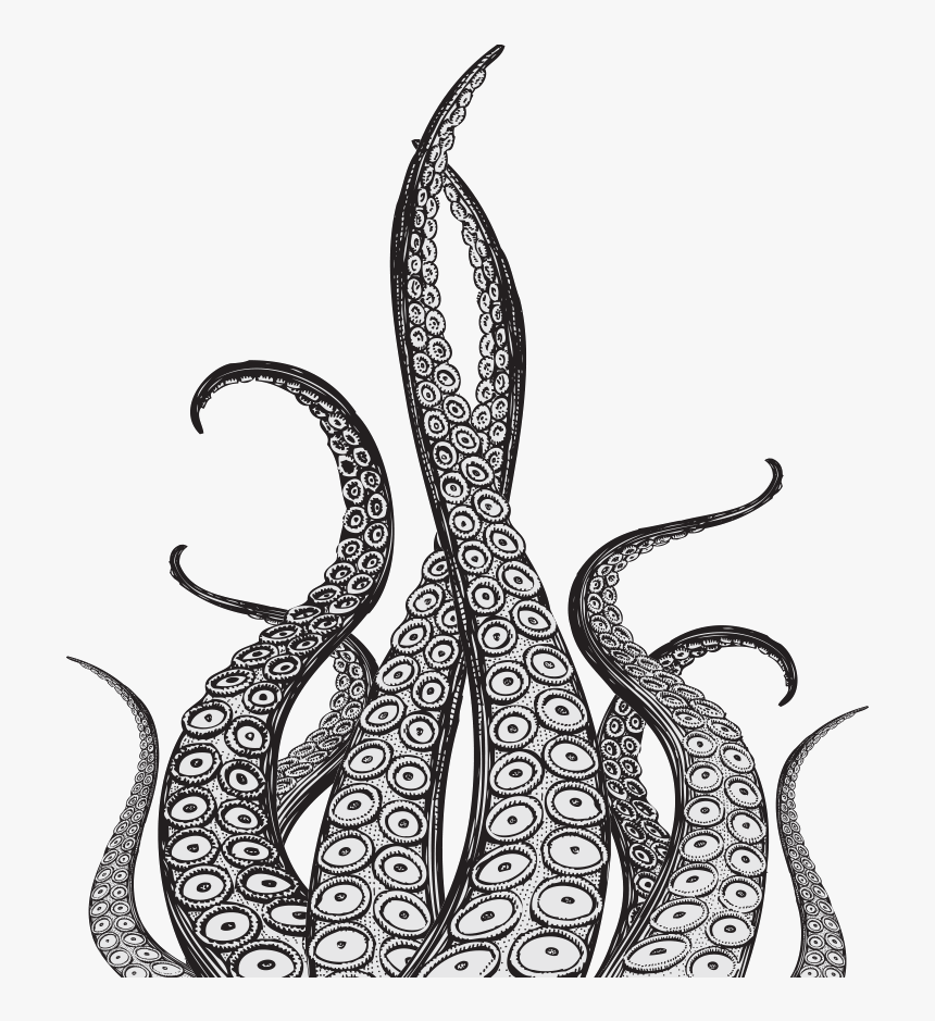 Octopus Tentacles Drawing, HD Png Download, Free Download