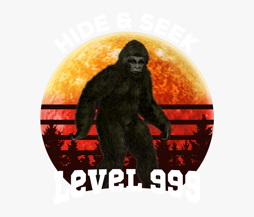 Monkey, HD Png Download, Free Download