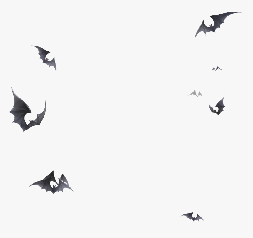 Transparent Bats Black And White Clipart - Love Nikki Ominous Bat, HD Png Download, Free Download