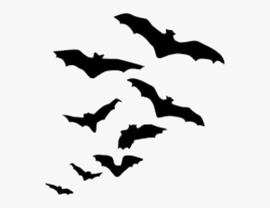 Transparent Murcielagos Png - Flock Of Bats Silhouette, Png Download, Free Download