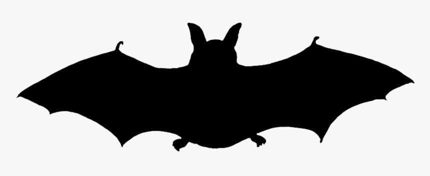 Halloween Bat Silhouette Png Halloween Bat Silhouette - Bat, Transparent Png, Free Download