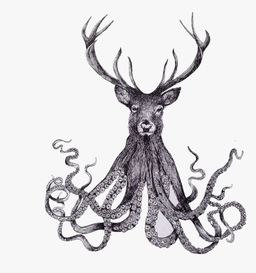 Collection Of Free Octopus Drawing Hand Download On - Deer Octopus, HD Png Download, Free Download