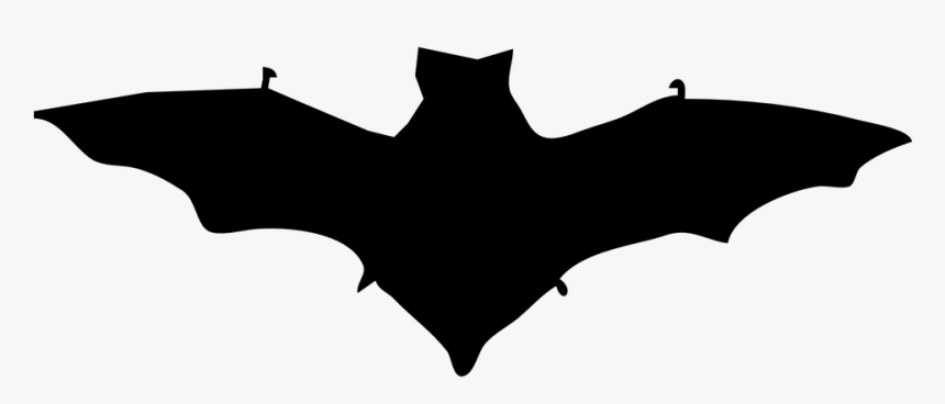 Bat, Dracula, Silhouette, Mammal, Halloween, Horror - Bat Clip Art, HD Png Download, Free Download