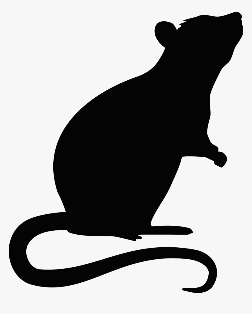 Mouse Rodent Transprent Png Free Download Ⓒ - Transparent Rat Silhouette Png, Png Download, Free Download