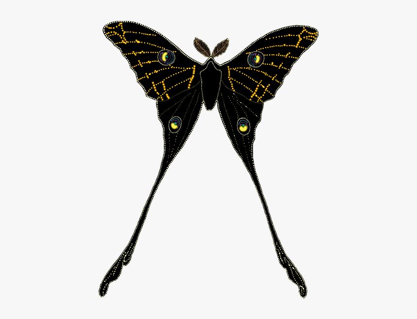 Animal, Butterfly, Insect, Isolated, Silhouette - Silhouette, HD Png Download, Free Download