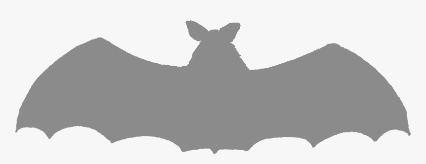 Transparent Bat Silhouette Png - Bat, Png Download, Free Download