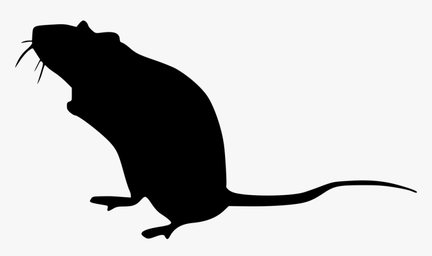 Rat - Icon Real Mouse Png, Transparent Png, Free Download